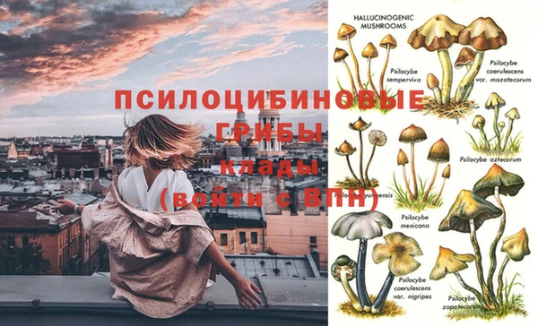 кокаин Михайловка