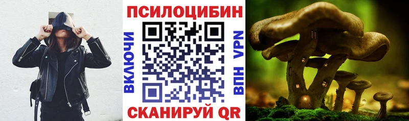 Купить Канск Псилоцибиновые грибы Psilocybe